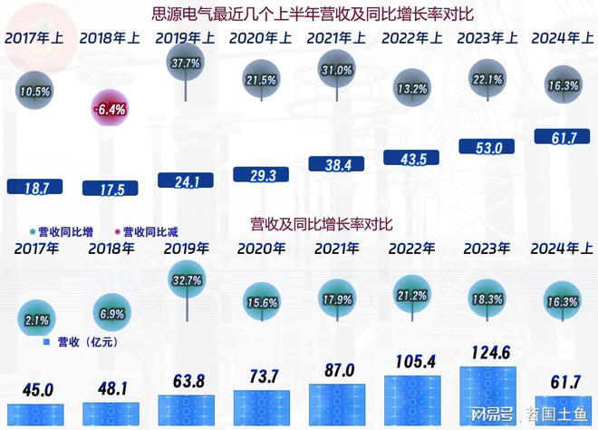 思源电气2024年营收和净利润双双创下上半年新高(图2)