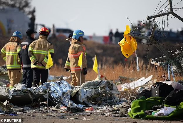 179人遇难韩国重大空难鸟击预警6分钟后班机撞墙爆炸！多国专家质疑本可避免(图4)