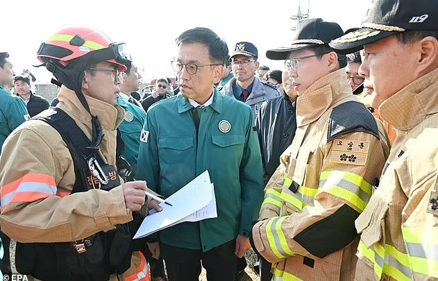 179人遇难韩国重大空难鸟击预警6分钟后班机撞墙爆炸！多国专家质疑本可避免(图8)