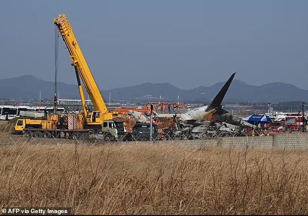 179人遇难韩国重大空难鸟击预警6分钟后班机撞墙爆炸！多国专家质疑本可避免(图7)